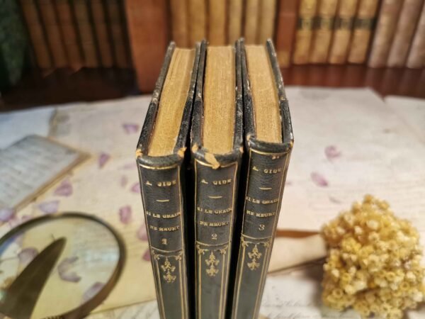 Si le grain ne meurt, André Gide, Gallimard - nrf, livres anciens reliés 1924 – Image 2