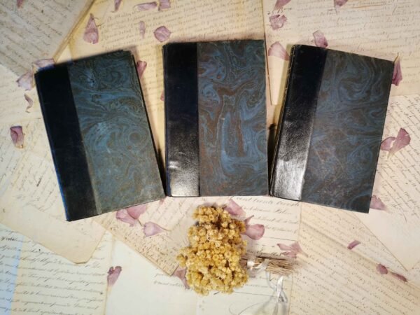 Si le grain ne meurt, André Gide, Gallimard - nrf, livres anciens reliés 1924 – Image 5