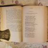 Oeuvres complètes de Rabelais, Garnier frères, livres anciens reliés non daté – Image 7