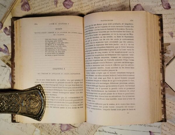Oeuvres complètes de Rabelais, Garnier frères, livres anciens reliés non daté – Image 8