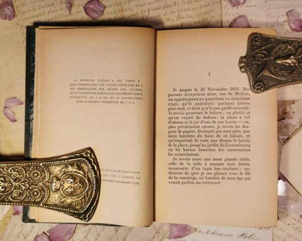 Si le grain ne meurt, André Gide, Gallimard - nrf, livres anciens reliés 1924 – Image 7