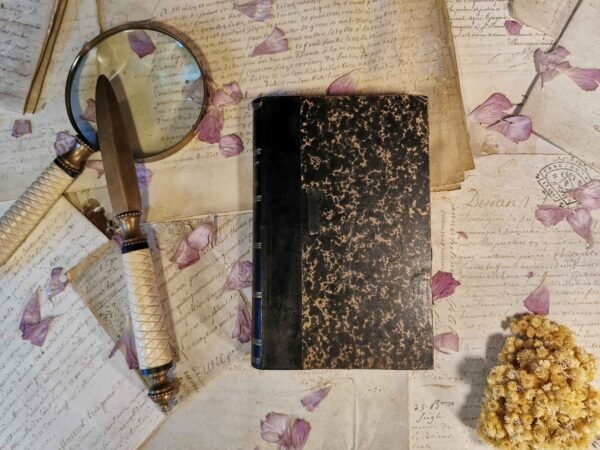 Pierre & Jean, Guy de Maupassant, Paul Ollendorff, livre ancien relié cuir 1894 – Image 5