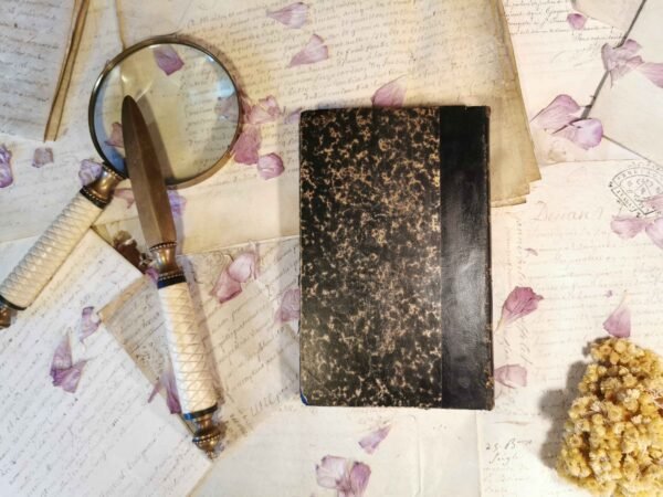 Pierre & Jean, Guy de Maupassant, Paul Ollendorff, livre ancien relié cuir 1894 – Image 4