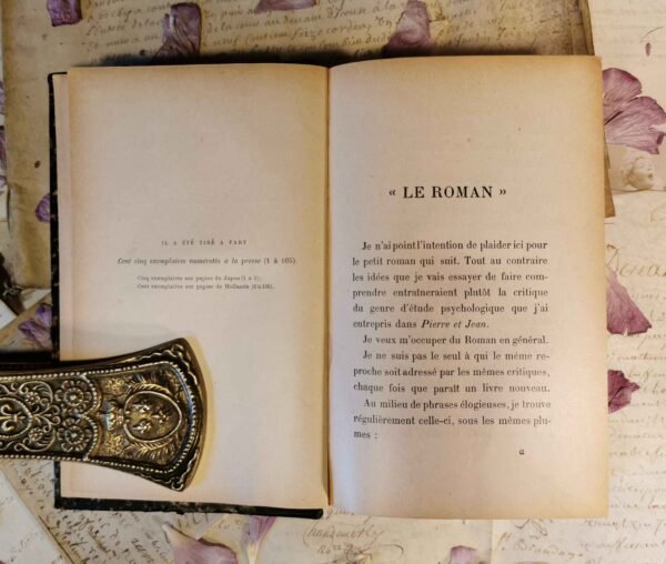 Pierre & Jean, Guy de Maupassant, Paul Ollendorff, livre ancien relié cuir 1894 – Image 7