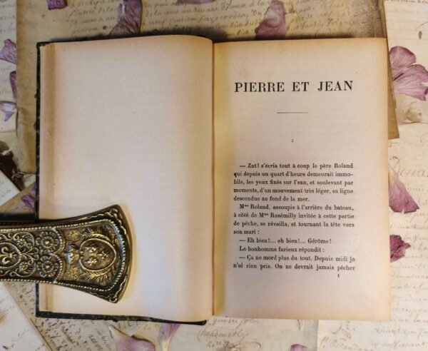 Pierre & Jean, Guy de Maupassant, Paul Ollendorff, livre ancien relié cuir 1894 – Image 6