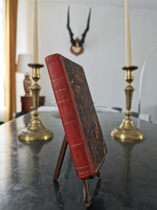 La belle (EO), René Maizeroy, Paul Olendorff, livre ancien relié cuir, 1889