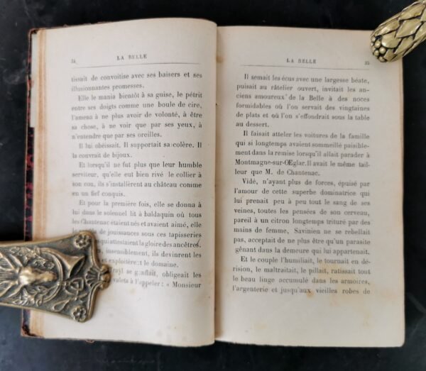 La belle (EO), René Maizeroy, Paul Olendorff, livre ancien relié cuir, 1889 – Image 8