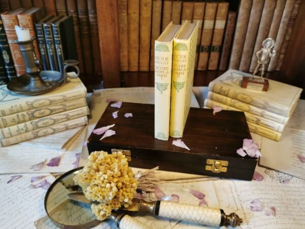 Notre-Dame de Paris 2/2 + Jacquettes, Victor Hugo, Nelson, livres anciens 1934 – Image 3