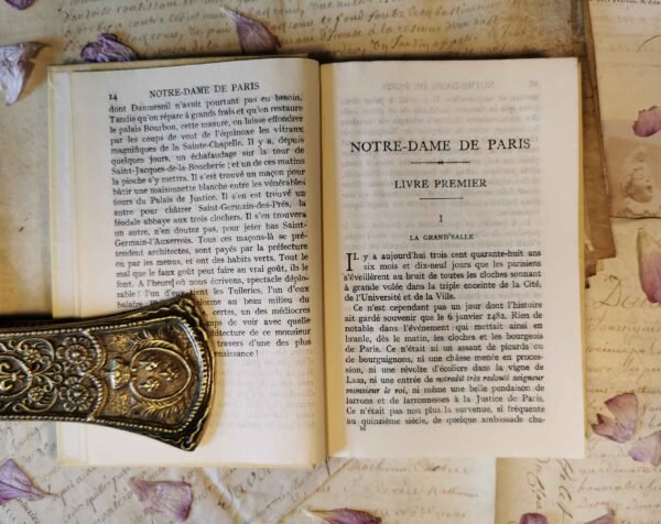 Notre-Dame de Paris 2/2 + Jacquettes, Victor Hugo, Nelson, livres anciens 1934 – Image 5