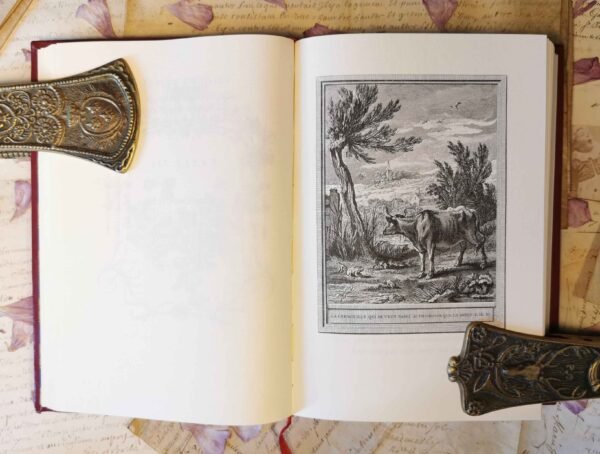Fables de La Fontaine 4/4, Jean de Bonnot, livres anciens reliés cuir, 1969 – Image 8